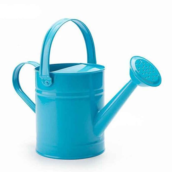 1.5L Iron Watering Cans Home Bonsai Plant Shower Gardening Water Pot Kettle AU